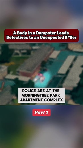 #crimestories #interviews #psychology #truecrime #behindcam | Video Interviews