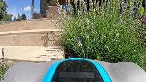 POV = POINT OF VIEW: Robotic lawn mower trimming green grass in summer garden. Automatic gardening device that maintains green lawn and avoids blooming flower beds and other obstacles in backyard.