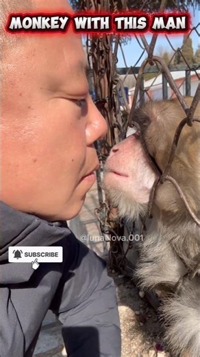 monkey with others vs with this guy 🤡