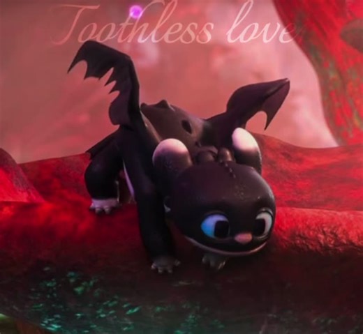 Toothless lover on TikTok