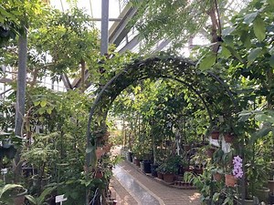 【4K】東京薬用植物園 TOKYO METROPOLITAN MEDICINAL GARDEN