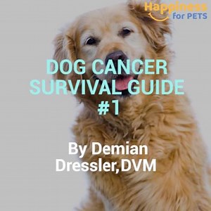 Dog cancer survival guide #1 - Cancer cells feast on simple sugars! Follow Happiness For Pets for more! Learn to conquer dog cancer: www.happinessforpets.com/dog-cancer-survival | Happiness For Pets