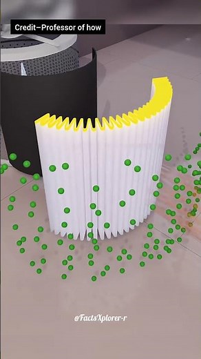How an air purifier works #science #sciencefacts