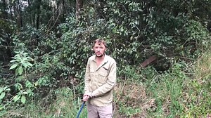 27K views · 275 reactions | RELEASING THE CAT EATING PYTHON!!!! This video I made very shortly after catching it. I’m releasing it back into nature in peace to digest its meal. Take home message. Keep your cat inside or in an outdoor enclosure so it’s safe. And of course to protect our amazing wildlife from the cats. Win win for everyone 年 enjoy your evening all  Luke 0499 920 290 | Snake Catcher Noosa 24/7 Luke the Snake Catcher | Facebook