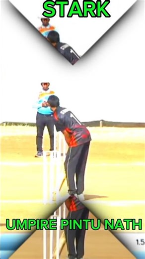 December 22, 2025stark super duper batting