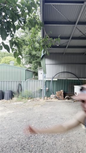 Reid Exterior | Home Service Company on Instagram: "Best purchase ever (alongside pure water window cleaner)"