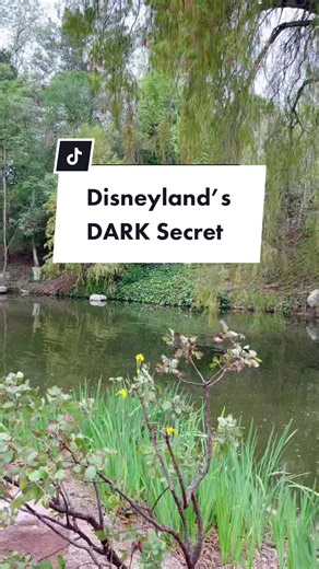 Exploring the Dark Side of Disney: Secrets Revealed