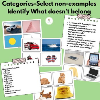 Categories-Negations-Selects non-examples Flashcards (ABLLS-R C56)