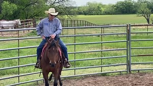 139K views · 9.2K reactions | Happy 83rd birthday to my dad. My first and best mentor. I hope we stay horseback till you are 103! We love you to the moon Papa. #ButchMurray #cowboy #nodust | Ty Murray | Facebook