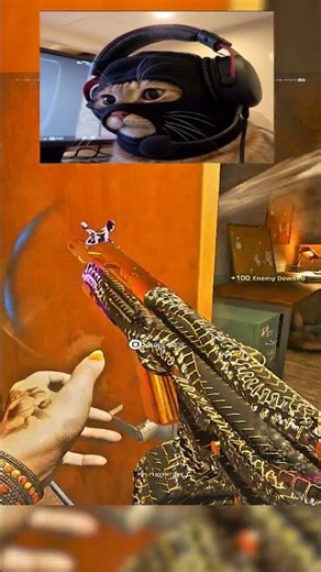 Best C9 and PP-919 class #warzone #blackops6 #callofduty #cod #rebirthisland #loadout