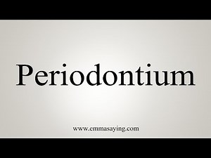 How To Say Periodontium