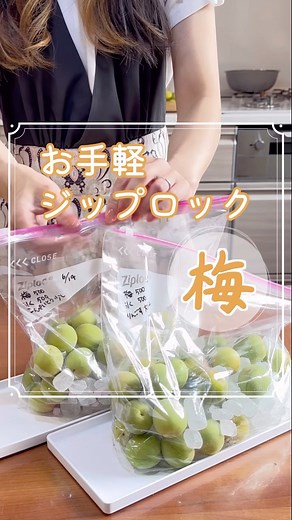 梅っ子ちゃん𓎩𓂃癒しの梅しごと on Instagram: "ジップロックでお手軽＆簡単「梅シロップ」 梅しごとって、瓶とか材料揃えて大変そう！ みたいなイメージない？？？ 確かに瓶は買い揃えると高いしね、 置き場所だって必要になってくる。 来年もやるかどうか分からないし、 初めてやるにはハードルが高い〜💦 って方はぜひ！ ジップロックで少量から 気軽にできるのでぜひ試してみてね😆 ジップロックの下には必ず濡れても良い受け皿を使用してください。 長期間放置せず毎日目をかけてやってください。 動画では梅1kgを半分の500gずつに分けて 2種類作っています。 ジップロックは「マチ付きのLサイズ」を使ったよ。 このサイズは梅500gにちょうどよかったです。 100gでも、200gでも、 梅と同量の砂糖を入れるだけだから簡単❀ お砂糖は氷砂糖がおすすめだけど、 てんさいとう、黒糖、はちみつも人気だよ！ 作り方 ①青梅を約30分水につけておく つけすぎると痛みやすくなるので長くても1時間以内に。 ②水を切って干すか、拭く ③おへそ（ヘタ）を取る 竹串か、ステンレスのピンを使うとよい ④
