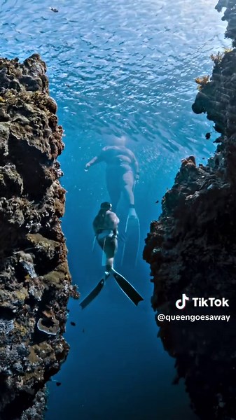 Exploring Bohol: Freediving Adventures Await!
