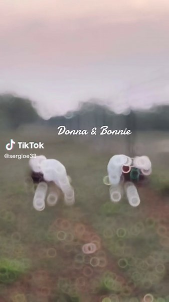 Texas Tusks: Hardcore Hog Hunting with Cur Dog Mafia