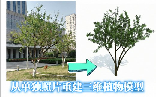 [CCF-B] [Graphical Models] 基于单幅图像的植物三维建模演示