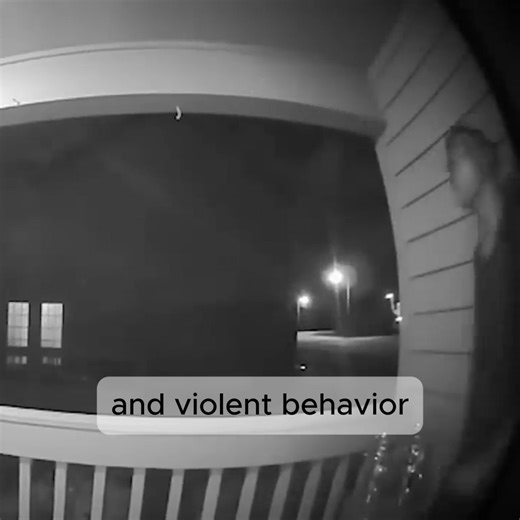 Terrifying Midnight Incident As Strange Man Tries To Break Into Family Home The story only gets darker from here… dare to find out what happens next in the comments. | Mr Nightmare Stories