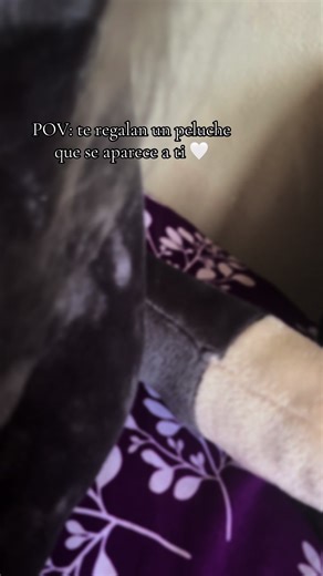 #lucifer #🐱 #❤️