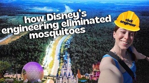 Why Disney World Has No Mosquitoes