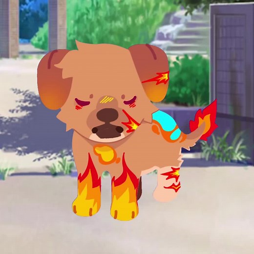 Dog vs Cat: Epic Backflip and Playful Rivalry