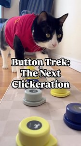 65K views · 3.2K reactions | @mewoofun_official Captain Fitz - 1.5...