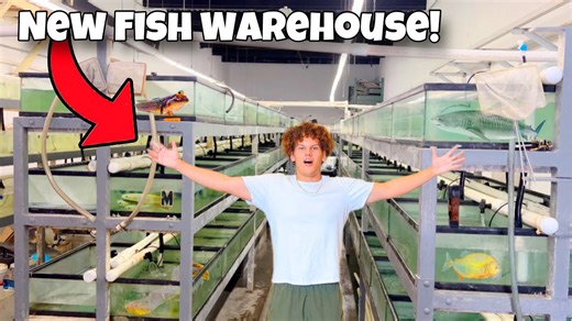 The new warehouse packed with exotic fish I couldn’t resist