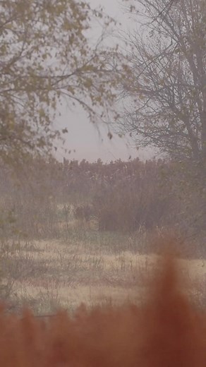 6.9K views · 105 reactions | Still raining ........ | Small Town Hunting | Facebook