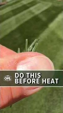 You NEED to do THIS before the HEAT! 🥵 #diy #lawn #lawncare #grass #homeimprovement
