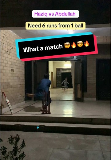 Thrilling Backyard Cricket Match Highlights