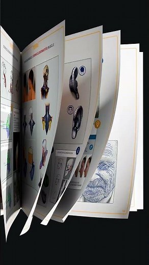 Understanding the Human Figure by Anatomy For Sculptors