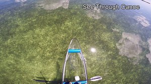 14K views · 188 reactions | See Through Canoeing in the Florida...