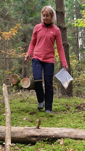 Foraging for Safe-to-Eat Wild Mushrooms | Smart Bushcraft