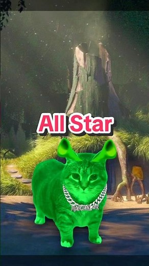 OIIA Cat x All Star