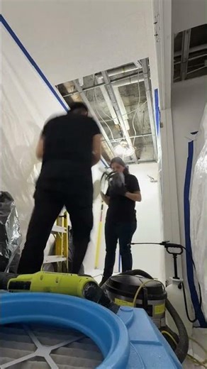 Mold Remediation Process – Part 3