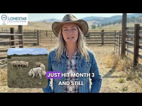 Yabby3 Livestock Guardian Dog GPS Tracker by LoneStar Tracking