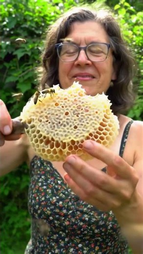 Eating Fresh Honeycomb Straight From The Hive! #rawhoney