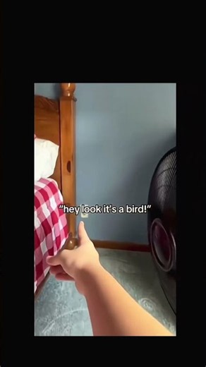 Mom it just broke😣 #edit #videoviral #smallcreator
