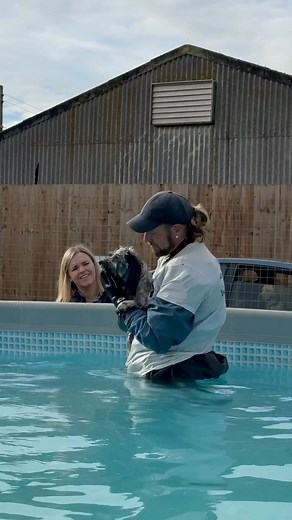 Cockapoo Maggie is a great little swimmer 🐾💕💦🇬🇧 | Canine Dip and Dive Maldon