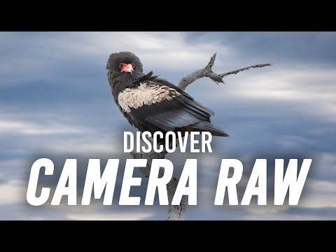Camera Raw and Photoshop with Adam Jones