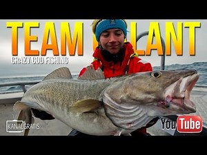 Crazy Cod Fishing in Norway | Team Galant (English Subtitles)