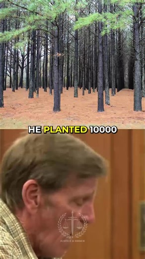 naximmrr5r2 (@naximmrr5r2)’s video of how to cut down trees safely