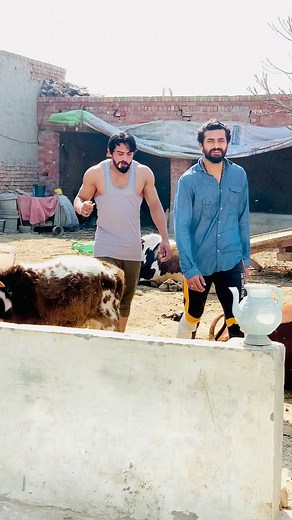 Sultan Veer: A Day in the Rural Outdoors
