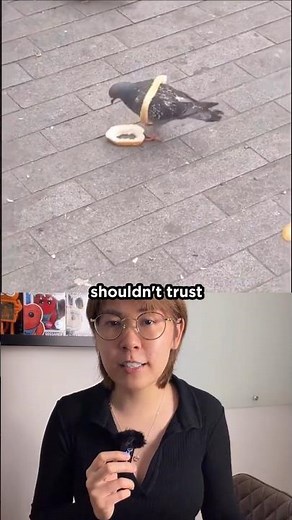 They Trained Pigeons to Steer Missiles in WW2 #history #shorts