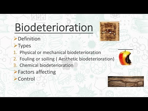 Biodeterioration | Microbes, man and Environment | A-Z Concepts guide