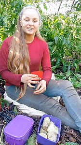 Boa tarde meus amores da roça 🌙 | Amanda Silva