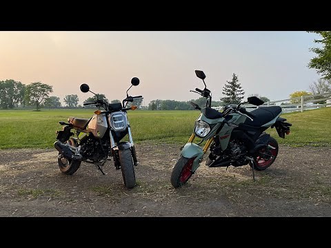 2023 Honda Grom Vs Kawasaki Z125 On The Dyno! What One Makes More POWER!
