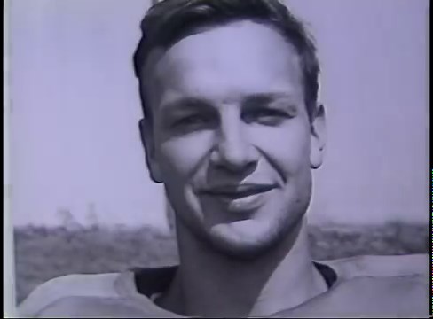 The evolutionary history of the Option