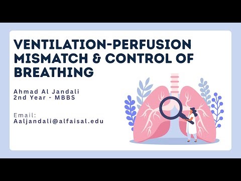 V/Q mismatch & regulation of breathing | Ahmad Al Jandali | CVP 112
