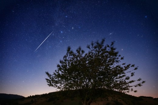 Leonid meteor shower to peak this weekend: Best times and how to watch