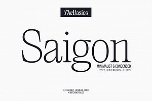 Saigon Minimalist Serif - Basic Pack, a Serif Font by The Paper Town