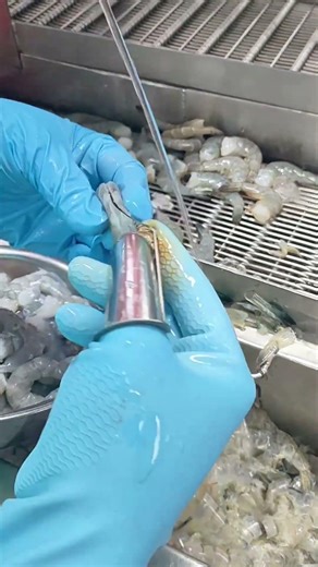 Must-Have KITCHEN Gadget: The Professional Shrimp Peeler 🦐